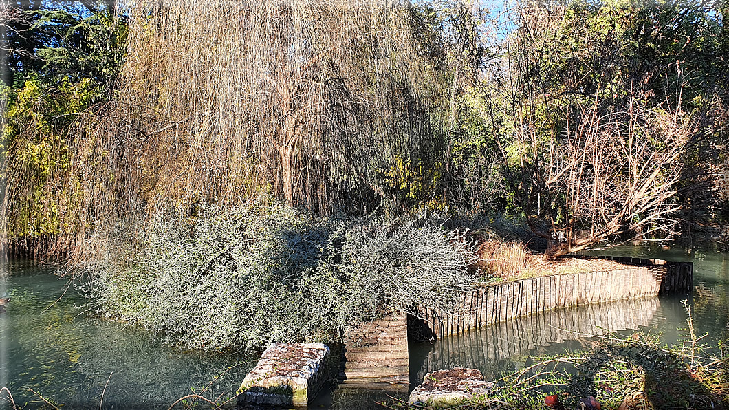 foto Parco Sebellin